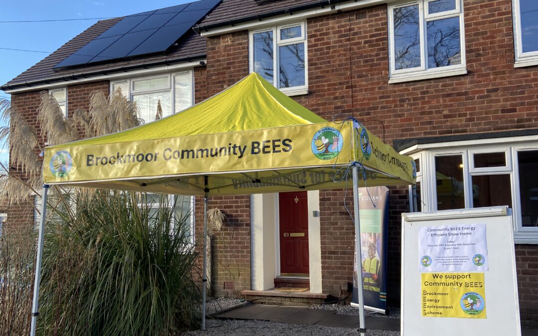 Net Zero Neighbourhoods: Brockmoor Energy & Environment Scheme