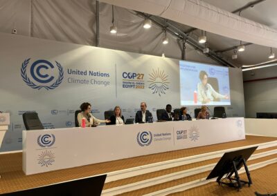 Universities’ at COP: Five tracks of engagement and influence